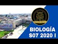 BIOLOGÍA SEMANA 7 PRE SAN MARCOS 2020 I ¨Z¨📚🖥️