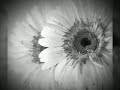 حالات واتس اب علموني عينيك
