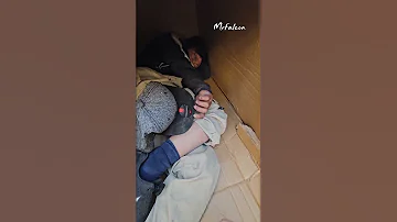 Ээ бурхан минь Хайрцагт хоног төөрүүлсэн гудамжны гэх тодотголтой энэ хүмүүс Өвөл удахгүй 