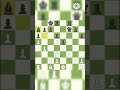 King !! You can run but you can't hide #checkmate #ai #chess #gaming #king #funny #edit