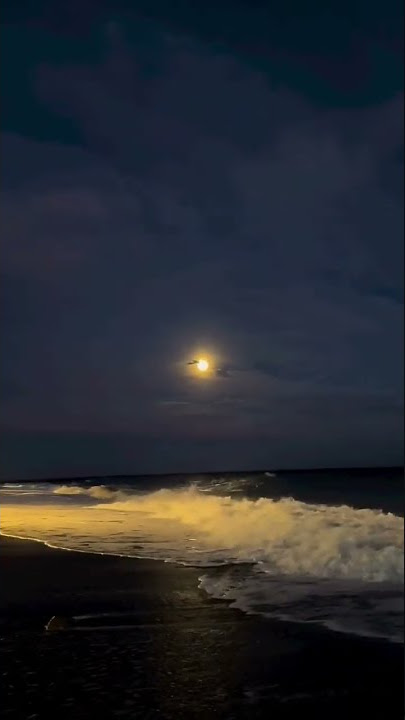 Menikmati pemandangan pantai malam hari dan cahaya rembulan🌊🌕#shorts