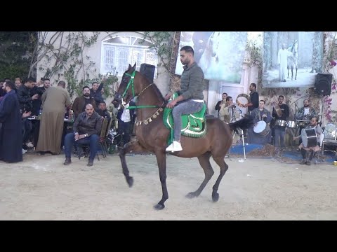 حسيبة العمدة واسلام البيطار حفلة دهشور الملكية 2023