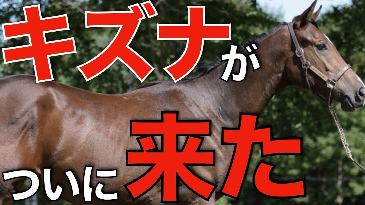 Long-cherished wish fulfilled] Kizuna's offspring finally wins a