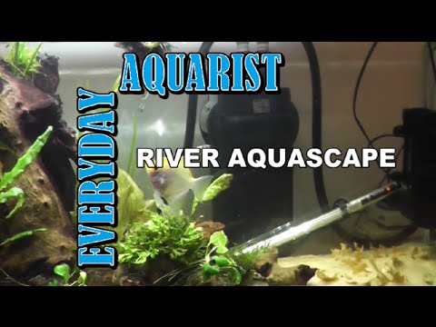 aquascape kl aquarium aquascape african inspired riverbed aquascape kl aquarium aquascape african inspired riverbed