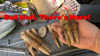 Metal Detecting WWII POW Camp Out West: Whod Bury 50 Cal???