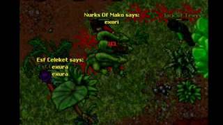 Trimera , Jack Of Texys , War Trimera , Onslaught , Tibia.