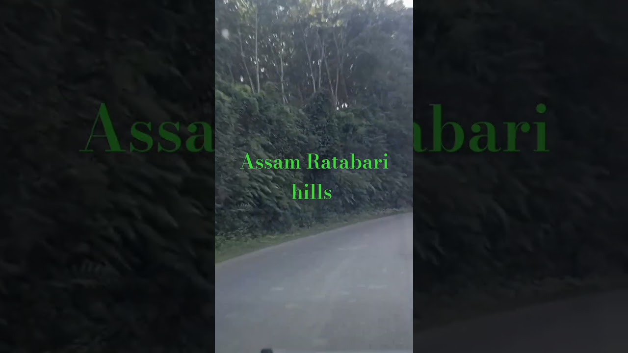 Assam Ratabari hills