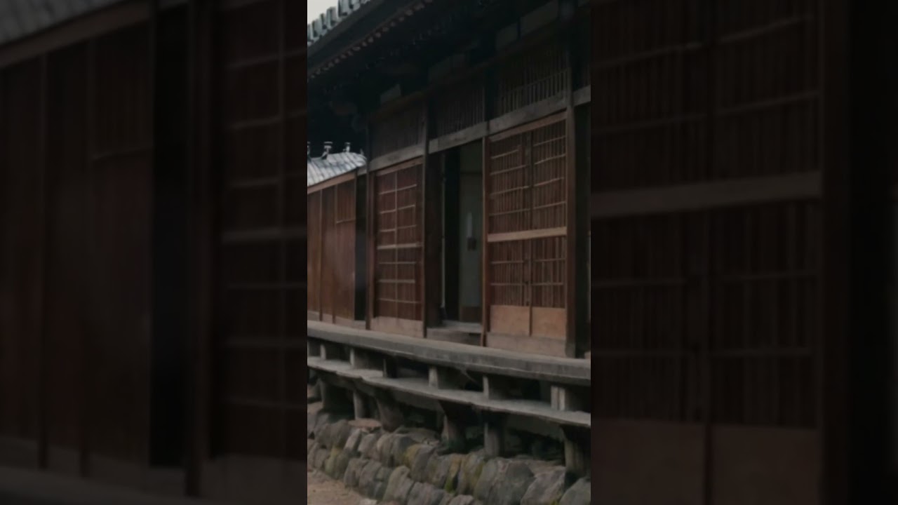 The enter history of Japan