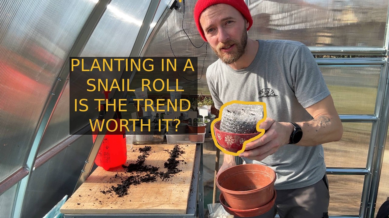 Snail Roll Seed Starting: Testing the Trend