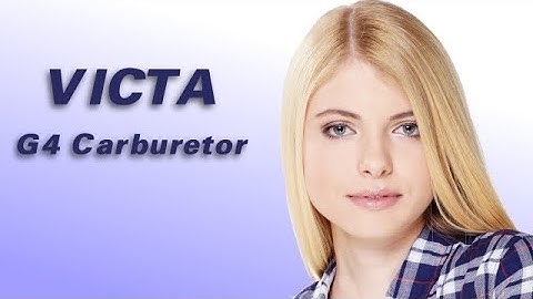 Victa Carburetor Rebuild