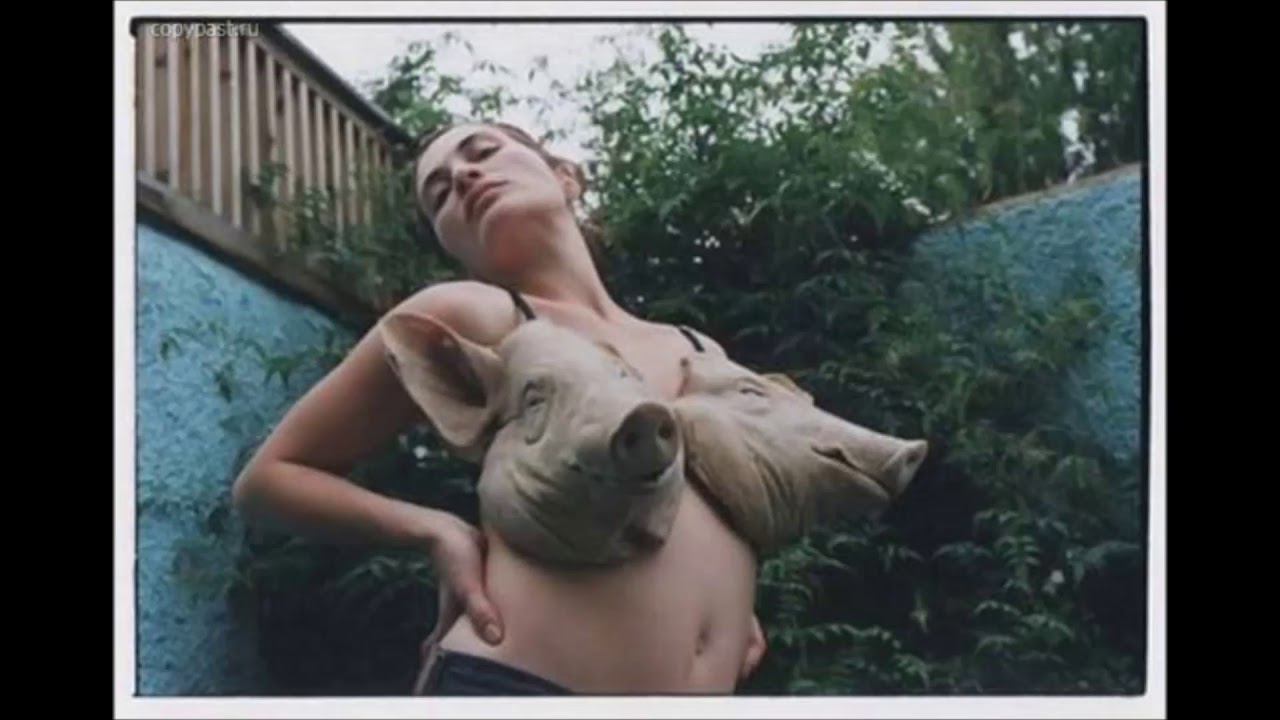 Watch Reack - Cerdos (Ft. Black Art Gang) (Beat x Dunsek) on YouTube Watch Reack - Cerdos (Ft. Black Art Gang) (Beat x Dunsek) on YouTube