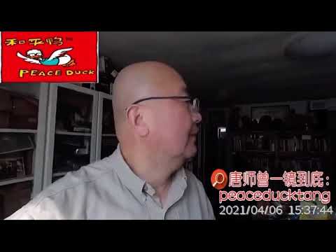 20210406唐师曾：给芙蓉姐姐介绍“打架的”