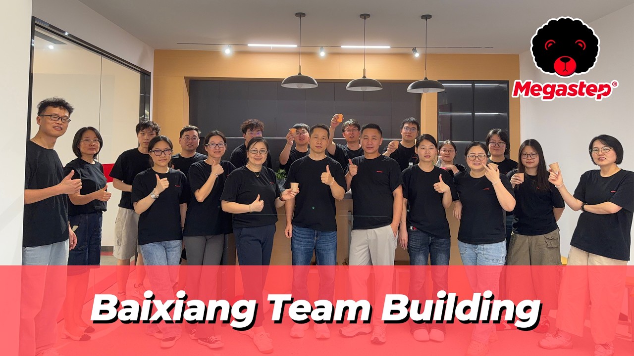 Health‑Focused Care · Stress Relief & Empowerment — Megastep Team Building Concludes Successfully
