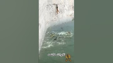 تلاوات خاشعه #تلاوة_خاشعة #المصحف #اكسبلور #الرحمن #القزابري #اكسبلورر #ترند