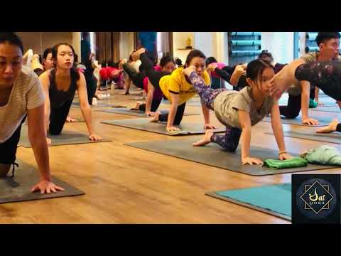 🔥30 minutes Beginner Yoga practice for Weight loss , Strength and flexibility