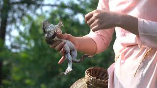 Crispy Fried Nautch Girl Frog - Simple Everyday Life Little Village Girl - 4K
