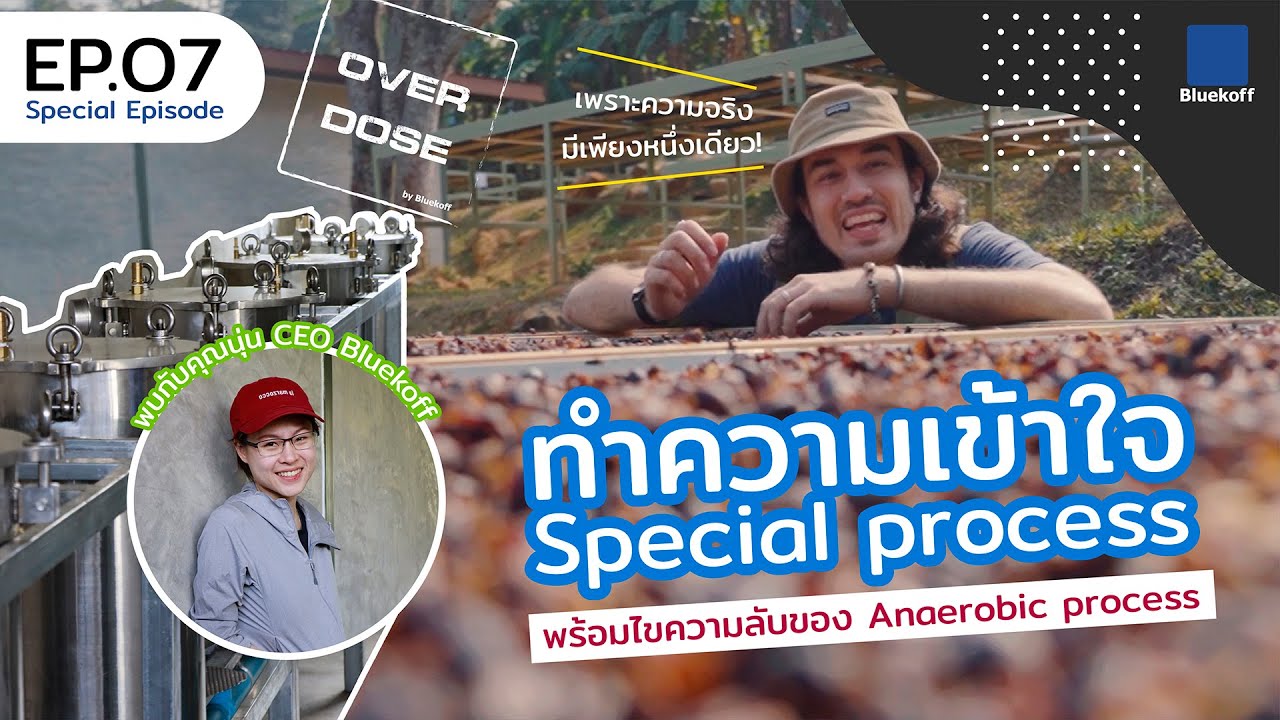 processing แปลว่า 2022 New Overdose : Ep.07 ทำความเข้าใจ Special process (Special Episode)