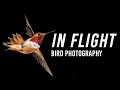 Birds in flight photography  with lee hoy