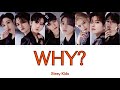 WHY? 〈Re:リベンジ-欲望の果てに- 主題歌〉 -Stray Kids【和訳/日本語字幕/Rom】