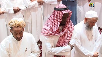 | ماتيسر من سورة هود_رمضان 38 | الشيخ عادل ريان | HD