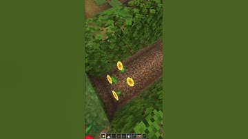 Minecraft How to Get Rid of ZOMBIES🤔 #minecraft #shorts