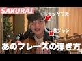 R1グランプリ出場のギターお笑い芸人『SAKURAI』さんの"ネタ"フレーズの弾き方を解説。