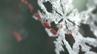 Sony Gamescom Teaser Trailer