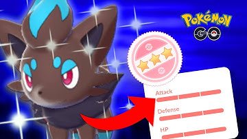 I CAUGHT a HUNDO ZORUA, Here