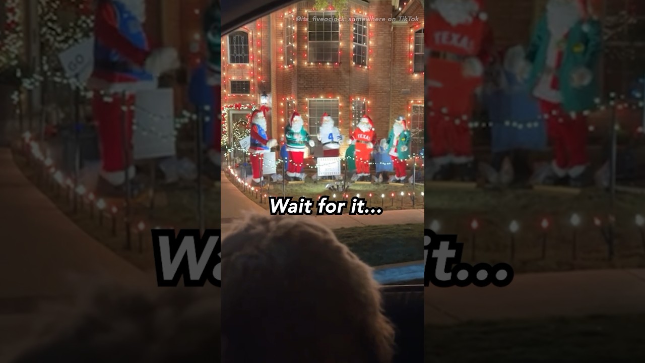 Are These The World’s Best Christmas Decorations?