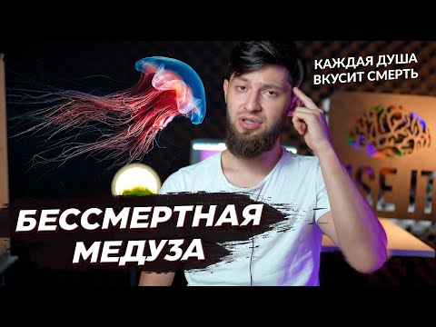 Ошибка в Коране? / Бессмертная медуза