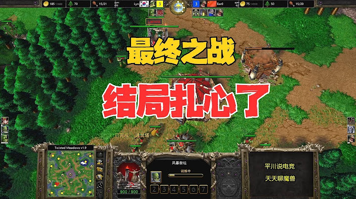 最终之战，鏖战30分钟，结局有点扎心了！魔兽争霸3