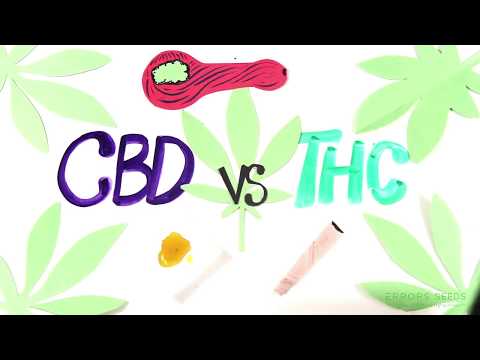 В чем разница между ТГК и КБД (THC vs CBD)