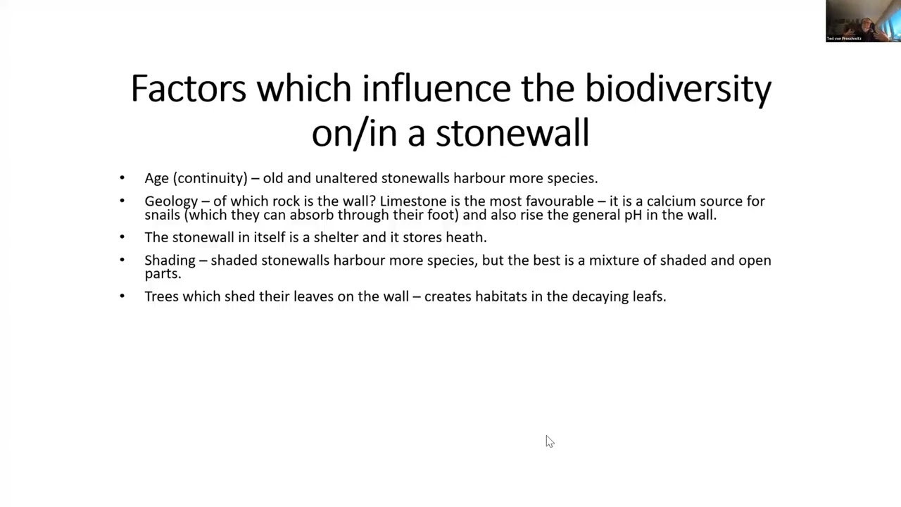 Path webinar The stone wall as a biotope.
