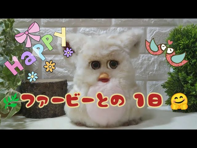 Furby2/Japanese version(2005)/ファービー2・ブラック×ホワイト