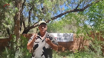 Hikmicro Thunder TQ50c 3.0 thermal clip-on / monocular Camera - Review