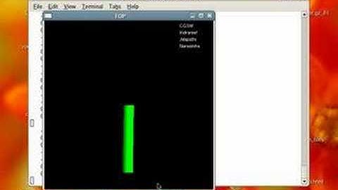 Modeling and Simulation Based on Dynamic Constraints- IV