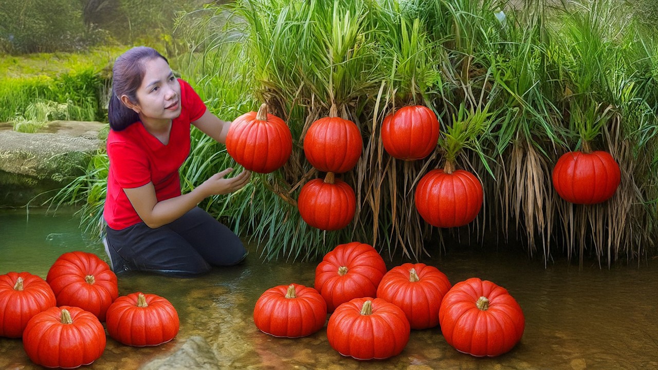 Harvesting 1000+ Kg Red Pumpkin & Giant Watermelon Goes To Market Sell, Sell Coconut | Ella New Life