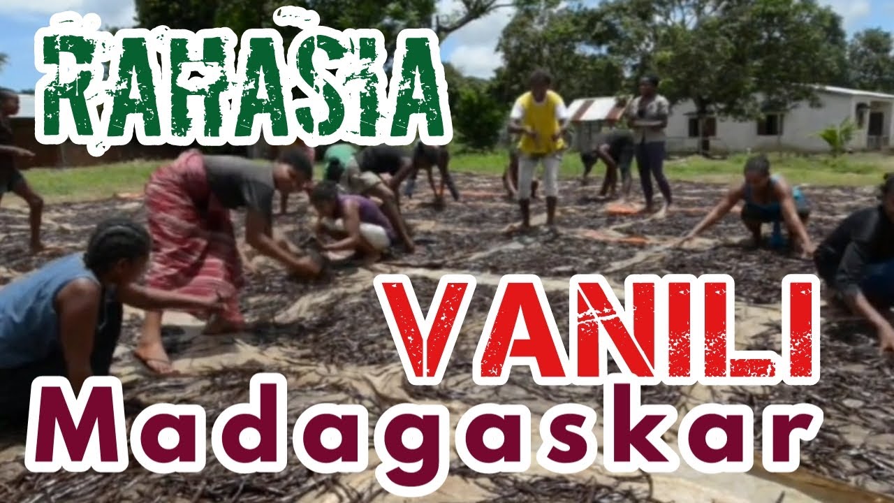 Rahasia  Vanili Madagaskar