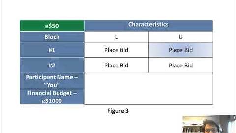 Auction experiments: Video Instructions