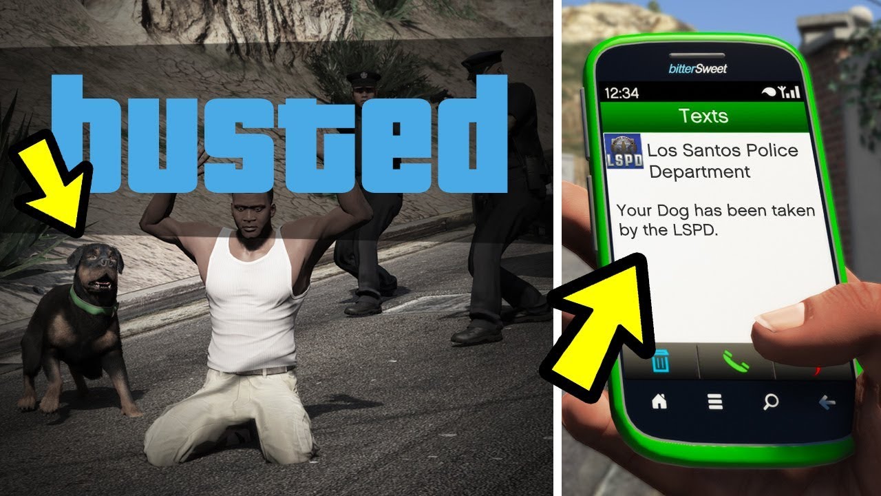 GTA 5 What Happens to Chop if You Get BUSTED? YouTube