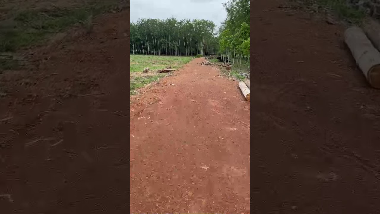 bán đất vườn 2.7 mẫu giá rẻ