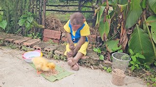 Monkey Su cares for duckling like a precious friend!