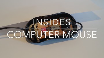 Insides | Computer Mouse