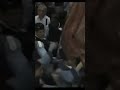 Avengers ( Church fight Jerusalem) #viral #modern #funny #comedy #news #jerusalem #israel #orthodox