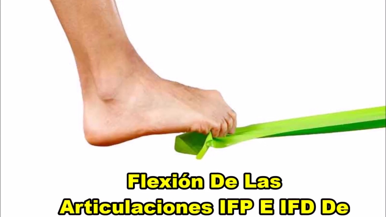 FLEXIÓN DE LAS ARTICULACIONES IFP E IFD DE LOS DEDOS DEL PIE YouTube