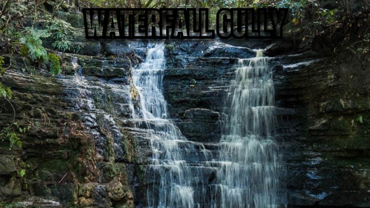 Exploring Whangaparāoa | Waterfall Gully Trail/Hike 2021