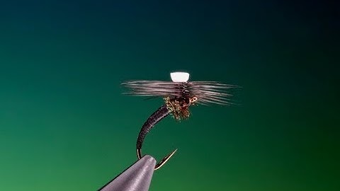 Tying a SBT with Barry Ord Clarke