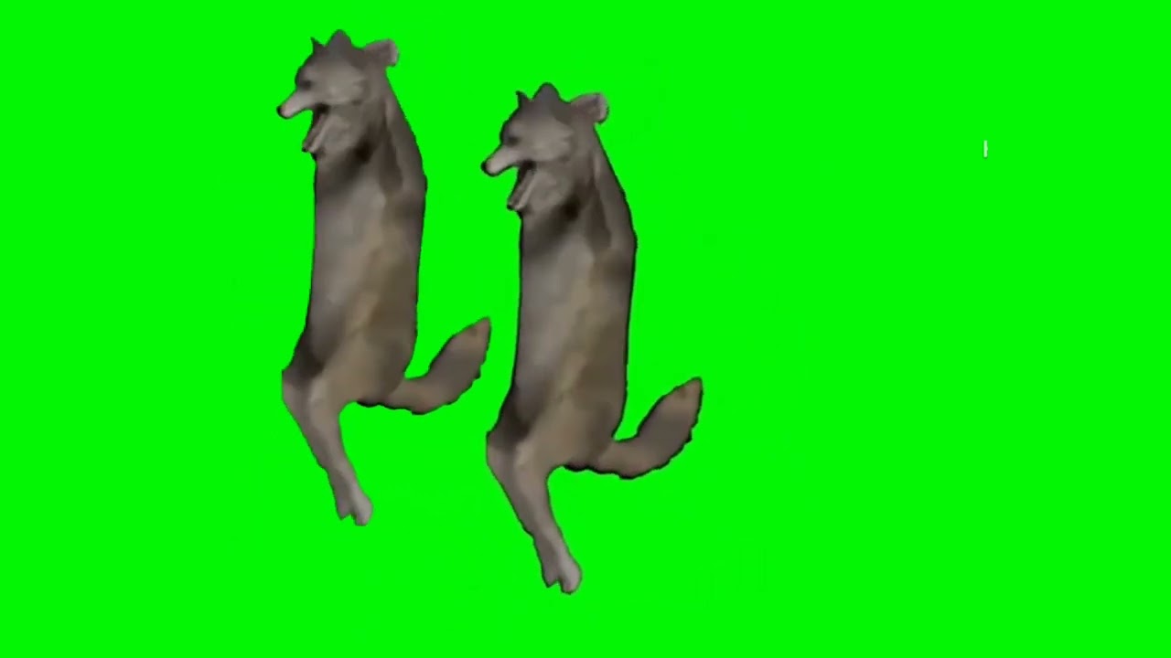 ijbinij pantalla verde, lobo bailando meme, greenscreen wolf dance 👍👍