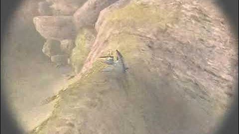 Ballistic Weapons Movie (UT2004 mod)