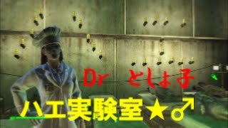 fallout4実況　住民をハエにする実験やってみた　Dｒとしょ子